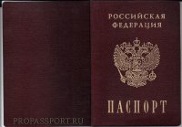 Как выглядит Общегражданский паспорт.